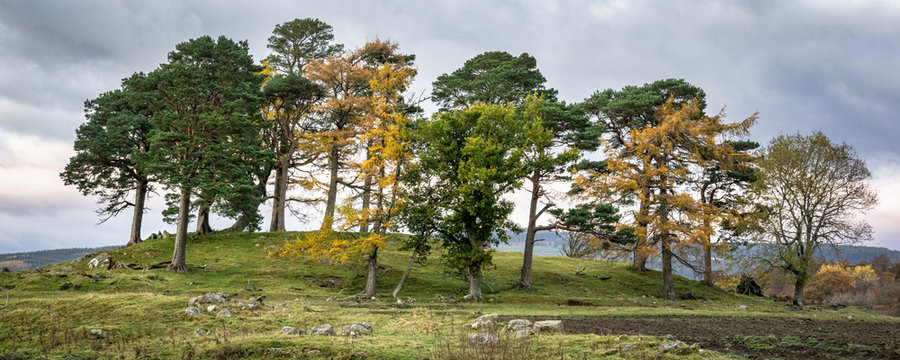 Craigh na Dun