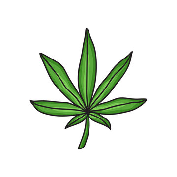 Green marijuana icon. Cannabis leaf for logo and design for medicine. Hand drawn cartoon illustration. Isolated vector sign in doodle style on white background