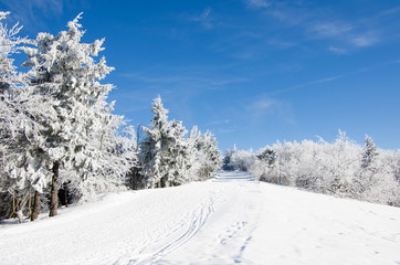 Fototapeta na wymiar Winter landscape with snowy trees and blue sky, Beskydy Mountains