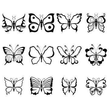 Set of twelve decorative butterflies
