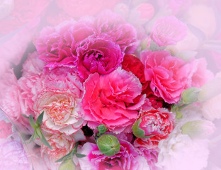 colorful carnation flowers bouquet top view, soft and airy natural background