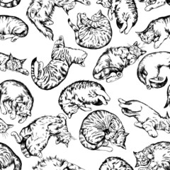 Vintage vector black and white hand drawn seamless background with lying cats. 