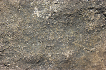 Ancient nature rough stone with traces of the sea abstract texture for background