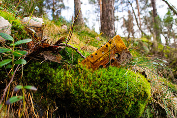 Old retro cassette tape in moss