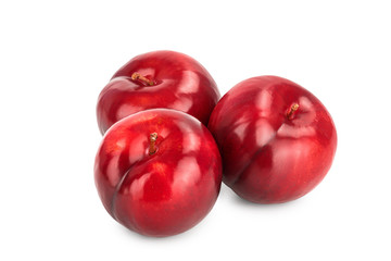 fresh red plum isolated on white background