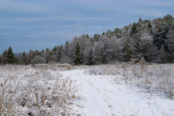 winter landscape with trees and snow