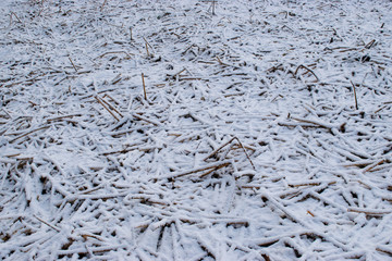 abstract background of frozen grass