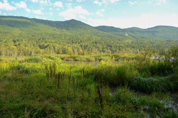 Fototapeta na wymiar Green forest and lake in the Altai mountains