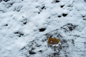 Frozen cassette tape in snow