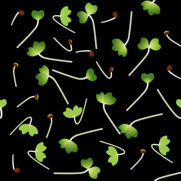 Microgreens Pak Choi. Sprouting seeds of a plant. Seamless pattern. Vitamin supplement, vegan food.