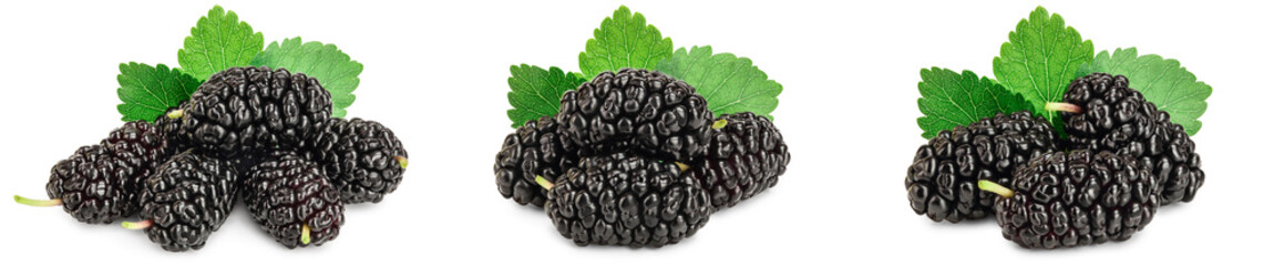Mulberry with leaf isolated on white background. Set or collection