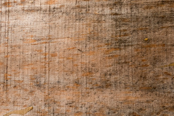 detail texture of wood