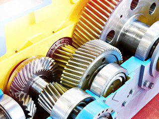 Speed reducer cross section