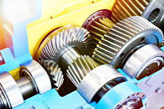 Gear speed reducer cross section