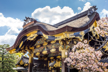 Naklejka premium Zamek Nijo w Kioto w Japonii