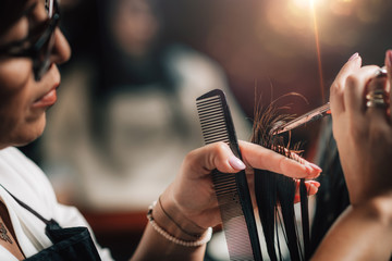 Cutting Hair in Beauty Salon