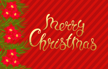 Merry Christmas template with fir branches, Holly and lettering for holiday card, banner, poster, vector illustration.