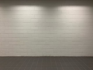 white brick block walls and black tile floors with light from above the ceiling
