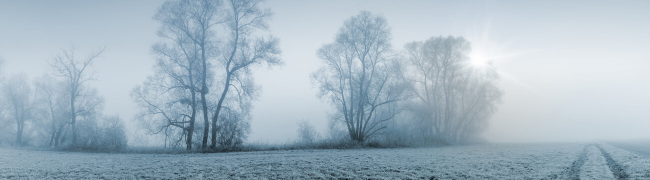 Panorama Breitbild einer Naturlandschaft bei leicher Morgensonne und starkem Nebel