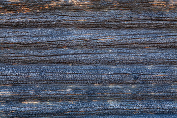 Background image - a wall of a wooden house burnt in a fire