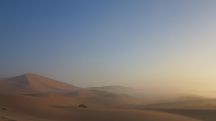 Fototapeta na wymiar Morning fog in the Rub al Khali aka the Empty Quater desert