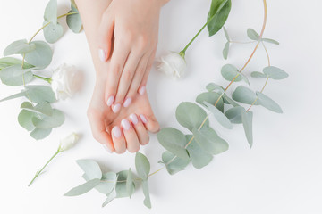 Stylish plain female hand manicure gel polish on white flower background eucalyptus, top view....