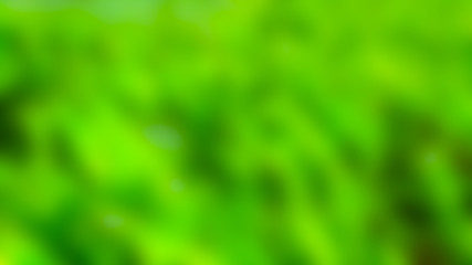 Blurred images, banana leaves, sky                              