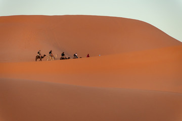 Fototapeta na wymiar Camel caravan in the Sahara desert. Morocco