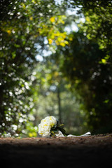 森の中のウェディングブーケ