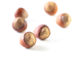 Hazelnuts nuts isolated on a white background