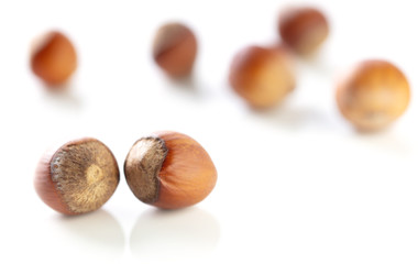 Hazelnuts nuts isolated on a white background