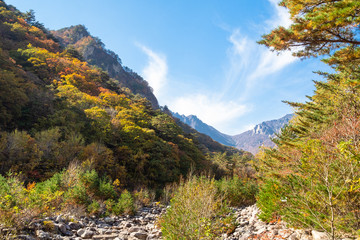 dry river in overgrown mountains in Seoraksan