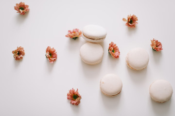 Obraz na płótnie Canvas Tasty macarons cookies and flowers on white background. Colorful french desserts. March 8, Spring background. Valentines, Women, Mothers day concept. Copy space, minimal style, flat lay, top view.