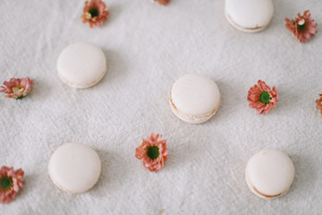 Tasty macarons cookies and flowers on white background. Colorful french desserts. March 8, Spring  background. Valentines, Women, Mothers day concept. Copy space, minimal style, flat lay, top view.