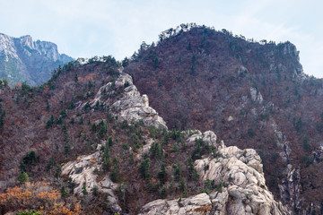 overgrown top of old mountain in Seoraksan Park