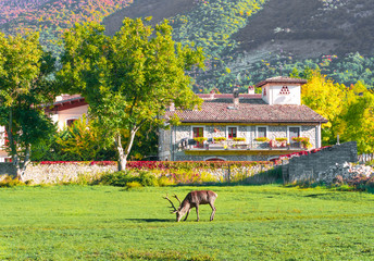 Fototapety na wymiar - Fototapeta24.pl