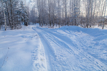 Road in the forest in the snow