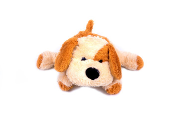 isolated dog doll on white background