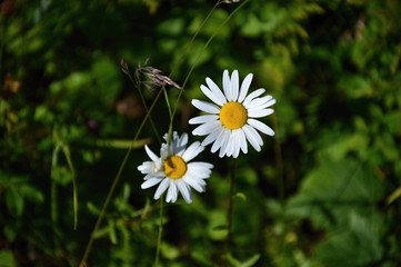 Olympic National Park, Washington