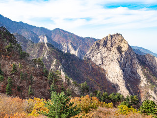 rocks and overgrown mountain slope in Seoraksan