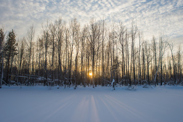 Winter evening. Frozen lake. In the background is a forest.
