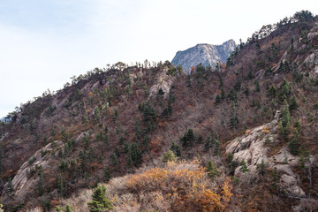 overgrown old mountain in Seoraksan National Park