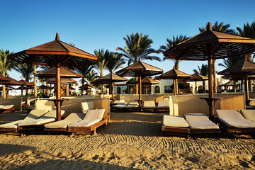 beach in the egypt