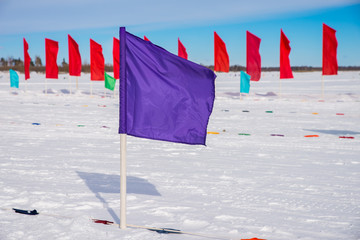 Flags in the snow at ski competitions.