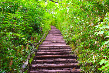 Obraz premium Etap szlaku