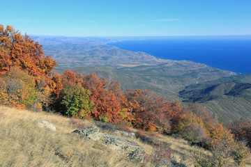 The vineyards of Crimea