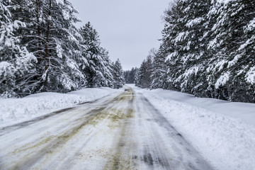 Obraz premium Winter forest trees in the snow cloudy sky snow covered road