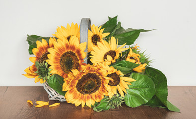 Beautiful autumn sunflowers in a basket. Rustic interior decoration.