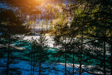 Beautiful winter landscape, mountain river valley. Turquoise river runs among snow-covered banks with coniferous forest on sunny January morning. Unfrozen area on the ice-bound mountain river.