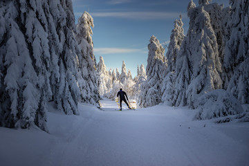 Langlauf am Fichtelberg